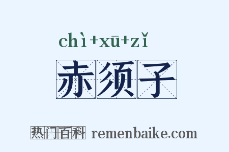 赤须子是什么意思的图片